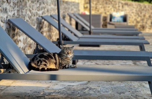 Valpuiseaux Maison | AU CALME DU GATINAIS - piscine chauffée, ping-pong, pétanque et nature - 8 pers