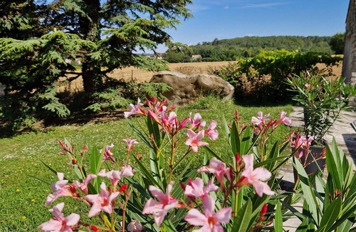 Valpuiseaux Maison | AU CALME DU GATINAIS - piscine chauffée, ping-pong, pétanque et nature - 8 pers