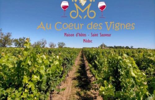 Medoc Appartement | Au Coeur des Vignes Médoc