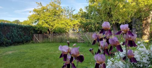 Ath Maison | Au coquelicot : gîte cosy pour 8 pers. avec jardin