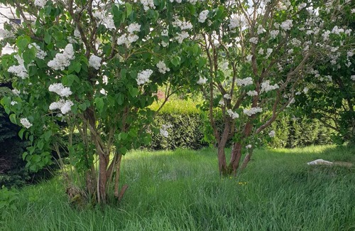 Savignies Maison | Au Domaine Cru