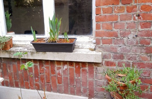 Tourcoing Appartement | Appartement 2+1Au Jardin mini