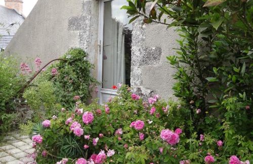 Rochefort-sur-Loire Lit Et Petit-Déjeuner | Au Moulin Géant
