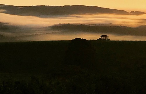 Newrybar Maison | Luxury Guesthouse in the Byron Bay Hinterland