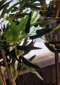 Tinlot Maison | Au Petit Seny, gîte charme et nature avec jacuzzi pro