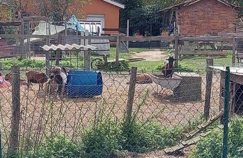 Castelnau-d'Auzan Maison | Au refuge de Lahontan