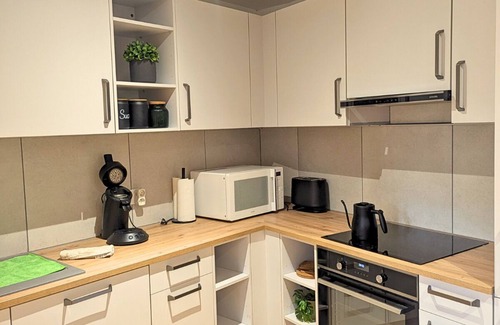 Steinbrunn-le-Bas Appartement | Au Soleil: Appartement confortable