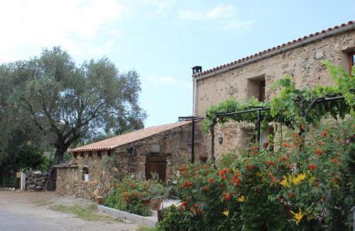 Palasca Cabine | Auberge Pietra Monetta