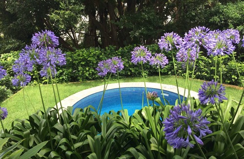 Auchenflower Appartement | Auchenflower, Tallywood Apt 3 - Animaux acceptés / Pour toute la famille / Espace extérieur / Piscine