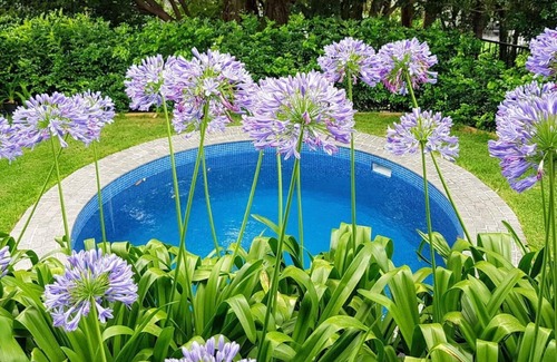 Auchenflower Appartement | Auchenflower, Tallywood Apt 3 - Animaux acceptés / Pour toute la famille / Espace extérieur / Piscine