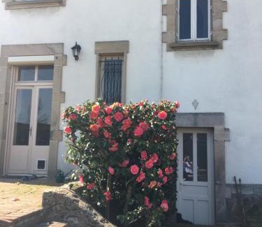 Autun Lit Et Petit-Déjeuner | Augustodun'Home