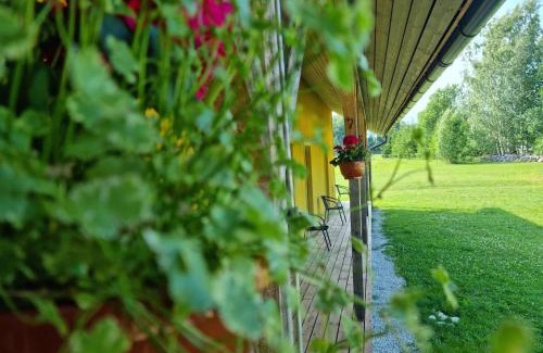 Viljandi County Hôtel | Auksi motell