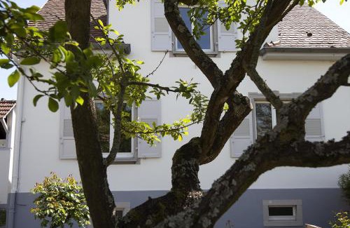 Robertsau Maison | Aulouison Maison spacieuse et paisible de 200 m2, à proximité du Parlement européen