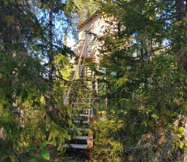 Arvidsjaur Autre | Aurora Lodge