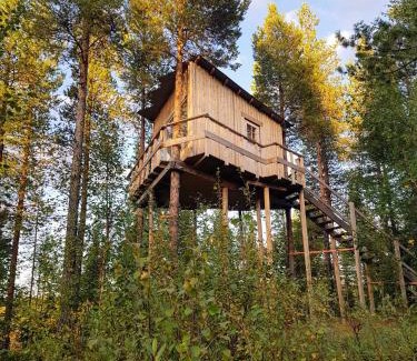 Arvidsjaur Autre | Aurora Lodge