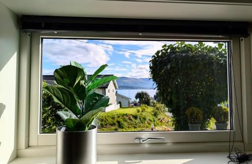 Tromso Maison | Aurora rooms in shared apartment nr1 We are doing privet northen light trip, reindeer trip and sommaroy Fjord trip