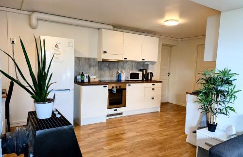 Tromso Maison | Aurora rooms in shared apartment nr1 We are doing privet northen light trip, reindeer trip and sommaroy Fjord trip