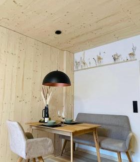 Bad Aussee Appartement | Ausseer Hoiznest