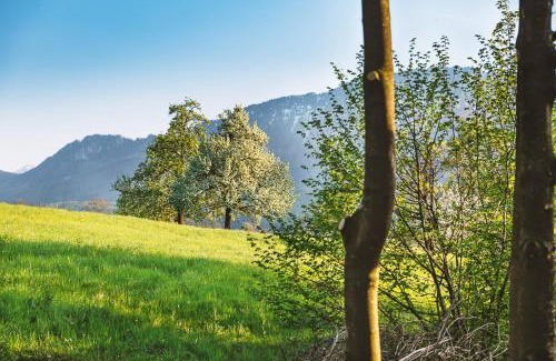Micheldorf in Oberoesterreich Maison | Auszeit beim Oswald