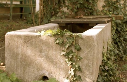 Apetlon Maison | Auszeit - Ferienhaus/2 Schlafräume/bad, WC