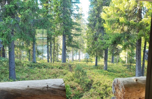 Rukatunturi Cabine | Authentic Lapland Log Cabin, Private Sauna & Fireplace & Northern Lights in Ruka