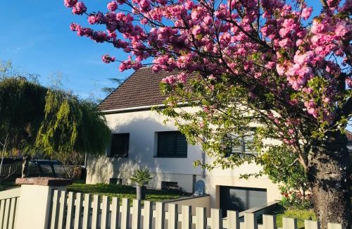 Ingersheim Appartement | Aux Portes de Colmar Évasion sur la route des Vins , à 5 minutes de Colmar