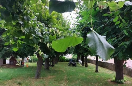Renaison Maison | Aux Tilleuls de Renaison