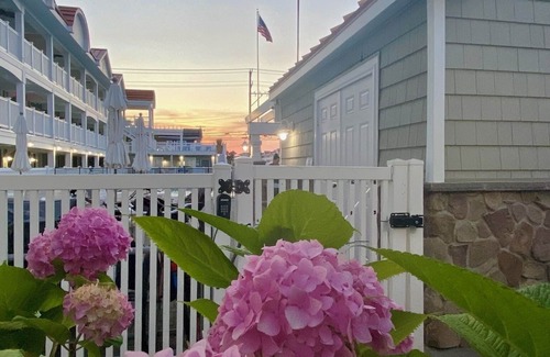 Avalon Copropriété | Avalon plaisir et soleil avec piscine, plage et les meilleurs bars de la plage
