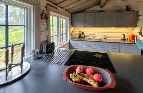 Nord-Aurdal Maison | Superbe maison à Aurdal avec sauna