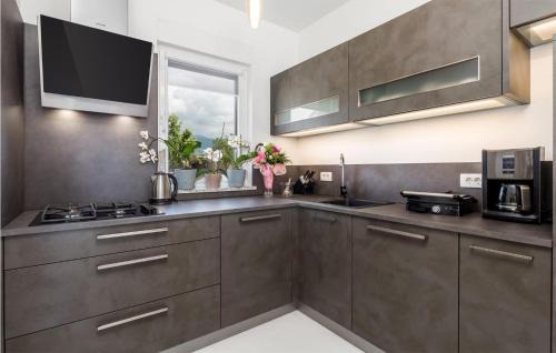 Sarsoni Maison | Awesome Home In Drazice With Wifi