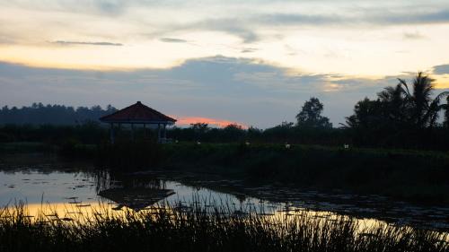 Aturuwella Hôtel | Ayubowan Swiss Lanka Bungalow Resort