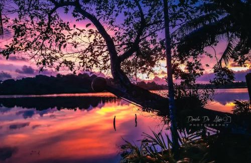 Aturuwella Maison | Ayura Lagoon Resort