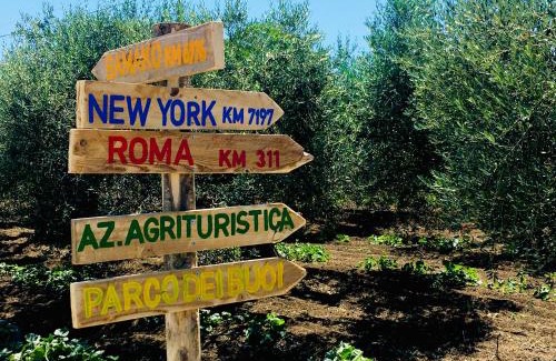 Nuova Cliternia Maison | Az. Agr. Parco dei Buoi