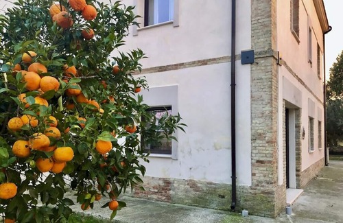 Nuova Cliternia Maison | Az. Agr. Parco dei Buoi
