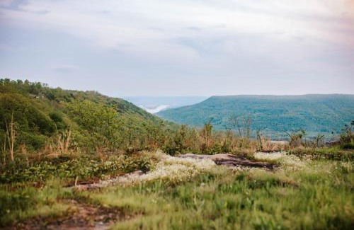Jasper Maison | Azalea & Blackberry Cabins