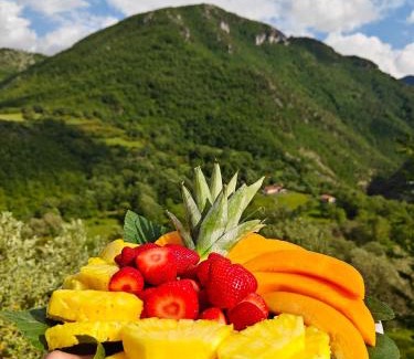 Valle dell’Angelo Maison | Azienda Agricola Ausono