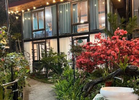Tam Dao Appartement | Bách Xanh House. Nhà Gác Lửng