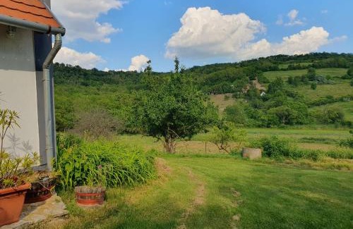 Kaptalantoti Appartement | Bácshegyi Vendégház 1