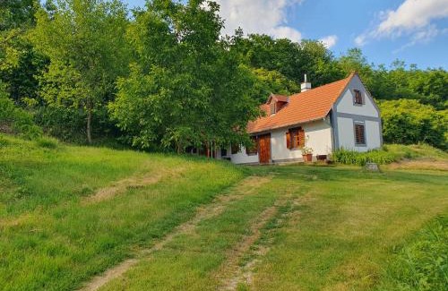 Kaptalantoti Appartement | Bácshegyi Vendégház 1