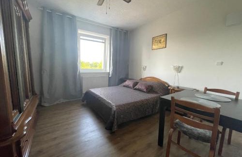 Hostavice Appartement | Báječné ubytování ve vile s bazénem a terasou v praze