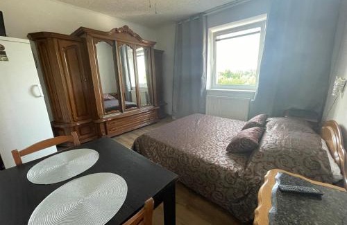 Hostavice Appartement | Báječné ubytování ve vile s bazénem a terasou v praze