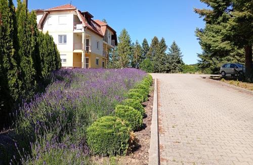 Bukkszentkereszt Appartement | Bükkszentkereszt Oxigén Apartman