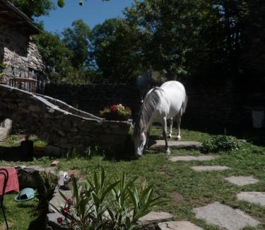 Yssingeaux Lit Et Petit-Déjeuner | B&B Bio et écolo du Besset