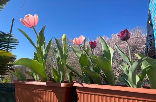 Capriglio Lit Et Petit-Déjeuner | B&B Cascina Dei Levrieri