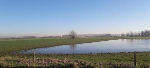 Sint-Jan-in-Eremo Lit Et Petit-Déjeuner | B&B De Hemelse Polder