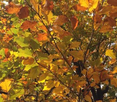 Manta Lit Et Petit-Déjeuner | B&B Il Castello del Ghiro RENT E-BIKE