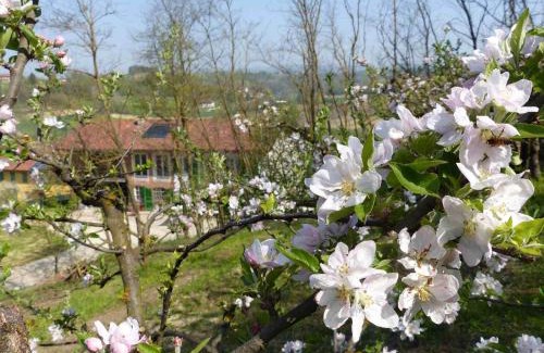 Castelnuovo don Bosco Lit Et Petit-Déjeuner | B&B Il vecchio pero