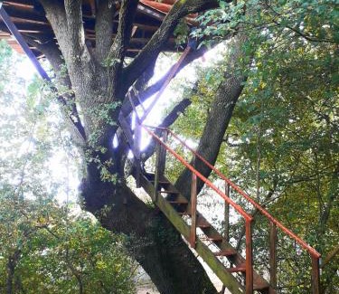 Mones Lit Et Petit-Déjeuner | B&B La Cabane Insolite