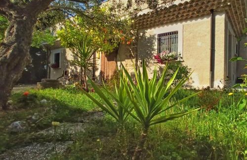 San Clemente Lit Et Petit-Déjeuner | B&B La Masseria del '700