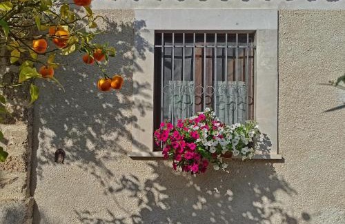 San Clemente Lit Et Petit-Déjeuner | B&B La Masseria del '700